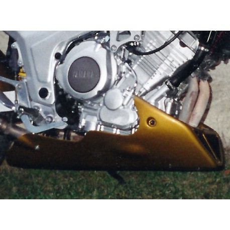 Sabot moteur TDM 850 96-02